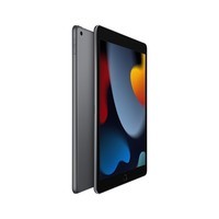 Apple【百亿补贴】iPad 10.2英寸平板电脑 第9代（256GB WLAN版/MK2N3CH/A）深空灰色