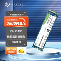 希捷1TB SSD固态硬盘 M.2接口(NVMe PCIe4.0×4)兼容PCIe3.0 台式机笔记本电脑硬盘 希捷酷鱼510 1T-读3600MB/S-赠散热马甲