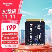 梵想（FANXIANG）500GB SSD固态硬盘 M.2接口NVMe协议PCIe3.0 2230小尺寸规格 电脑游戏机扩展硬盘S530Q