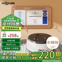 环鼎双人安全速热水循环水暖毯水暖电热毯1.5*1.8米家用除湿