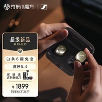 森海塞尔（Sennheiser）MOMENTUM真无线4代蓝牙耳机 特别设计版 自适应降噪 入耳式耳机 曜金黑色