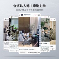 西昊 Doro C300人体工学电脑椅 办公椅可躺 电竞椅家用学习椅