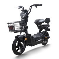 五星钻豹电动车 新国标48V20AH电瓶车小型外卖代步轻便电动自行车 A7PLUS 钢琴黑