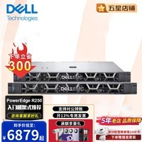 戴尔（DELL）R240丨R250丨R350 1U机架式服务器主机ERP文件共享金蝶数据库运算存储中小企业 G6405T 双核心 3.5G 8G内存丨1T SATA【经济款】