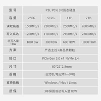 金邦（GeIL）SSD固态硬盘M.2(NVMe协议) 高速笔记本台式固态硬盘P3L系列 1TB Pcie3.0