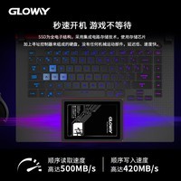 光威（Gloway）1TB SSD固态硬盘 SATA3.0接口 悍将系列