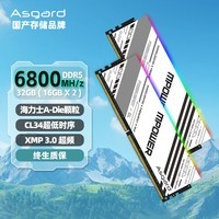 阿斯加特（Asgard）32GB(16Gx2)套 DDR5 6800 台式机内存条 RGB灯条-女武神·瓦尔基里M-power联名款【C34】助力AI