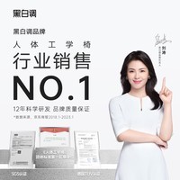 黑白调P2人体工学椅人工力学椅电竞电脑椅网椅办公家用久坐舒适学习椅子 P2霜白【3D腰托+3D扶手】