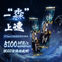 梵想（FANXIANG）1TB SSD固态硬盘 M.2接口NVMe协议PCIe 4.0 x4 海力士颗粒 台式机笔记本电脑适用S690H