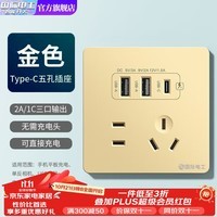 国际电工双USB插座面板20W快充墙壁无需充电头Type-c家用五孔插座快充面板 五孔5w双USB+type-c【金色】
