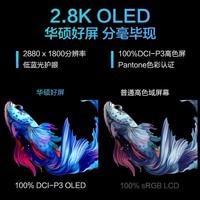 华硕灵耀X13 AMD锐龙13.3英寸 2.8K OLED屏 高颜值商用超轻薄笔记本电脑 R7-6800U 16G 1TB夜蓝