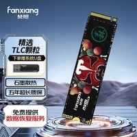 梵想（FANXIANG） SSD固态硬盘 M.2接口(NVMe协议)  S500系列 优质精选颗粒 S500pro 精选TLC颗粒 1T