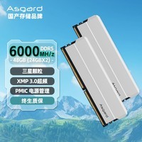 阿斯加特（Asgard）48GB(24GBx2)套装 DDR5 6000 台式机内存 海拉系列