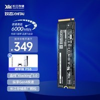 致态（ZhiTai）长江存储 500GB SSD固态硬盘 NVMe M.2接口 Ti600系列 (PCIe 4.0 产品)