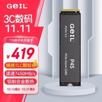 GEIL金邦 1TB SSD固态硬盘 M.2接口(PCIe 4.0 x4)NVMe SSD游戏高性能版高速7450MB/S P4S系列