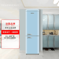 SCHNEIDER 251L复古双门冰箱家用冷冻冷藏电冰箱一级能效 冰晶蓝