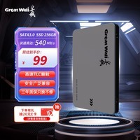 长城（Great Wall) 256GB SSD固态硬盘 SATA3.0接口 读速540MB/S台式机/笔记本通用 GW560系列 