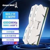 长城（Great Wall）32G(16G*2)套条 DDR5 6000 马甲条 台式机内存条 