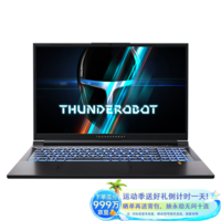 雷神（ThundeRobot）911MT黑武士15.6英寸独显轻薄游戏本骨灰玩家级剪辑AI设计师编程移动工作站笔记本电脑变形金刚IP 酷睿8核i5|4060|16G|1T加装版