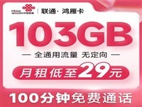 中国联通 联通不限速流量卡低月租手机卡全国通用5g电话卡大流量纯上网卡号码卡流量 鸿雁卡29元103G+100分钟-CQ1