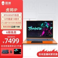 雷神（ThundeRobot）911MT黑武士15.6英寸独显轻薄游戏本骨灰玩家级畅玩暗黑4设计师移动工作站笔记本电脑变形金刚联名 13代酷睿i7|4060|16G|512原装