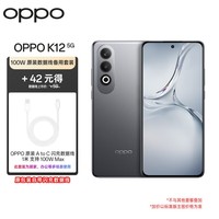 OPPO K12 5G 100W闪充 5500mAh超长续航 拍照游戏 AI手机 12GB+256GB 星夜【100W原装数据线备用套装】