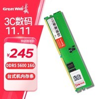 长城 (Great Wall) 16GB DDR5 5600MHz 台式机内存条 适配黑神话悟空