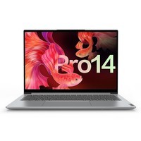 联想（Lenovo） 小新Pro14 标压锐龙 高性能全面屏轻薄笔记本电脑 R7-5800H 16G 512G 2.8K屏