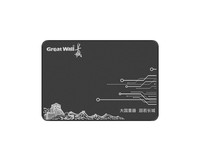 长城(Great Wall)480GB SSD固态硬盘 SATA3.0接口 读速520MB/S台式机/笔记本通用 GW520系列