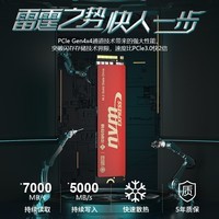 中科存SSD固态硬盘 M.2接口(NVMe协议PCIe4*4）兼容台式机笔记本电脑 凤凰|PCIe4.0*4 7000MB/S