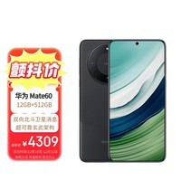 华为（HUAWEI）旗舰手机 Mate 60 12GB+512GB 雅丹黑