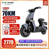 绿源（Luyuan）绿源新品新国标电动自行车LIVA10 48V20A锂电池 男女代步电瓶车 天际灰