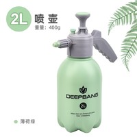 DEEPBANG喷壶浇花气压式喷水壶家用小型喷雾器园艺高压消毒清洁打农药专用 【新绿色】2L浇花壶