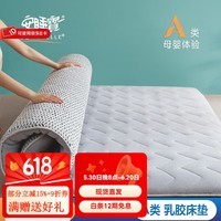 安睡宝（SOMERELLE） 床垫 A类针织抗菌乳胶大豆纤维床垫单双人宿舍居家牛奶绒床垫 乳胶大豆纤维灰色普通款 90*190cm