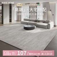 布迪思地毯客厅轻奢高级感防水防滑加厚大尺寸满铺免洗可擦地毯2024新款