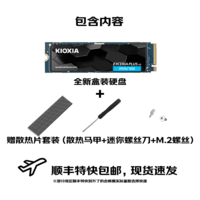 铠侠RC20/SD10/SE10 固态硬盘 m.2接口NVME适用笔记本台式机电脑SSD 铠侠SD10 1TB PCIe4.0 长效耐用 官方标配+散热片套装