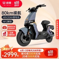 绿源（Luyuan）新国标电动自行车LIVA10 48V20A锂电通勤代步电瓶车液冷2.0 天际灰