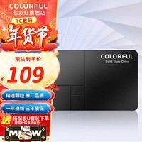 七彩虹（Colorful）SL300/SL500 SSD固态硬盘 SATA3.0接口台式笔记本固态 固态硬盘 SL500 256G 【主流推荐】