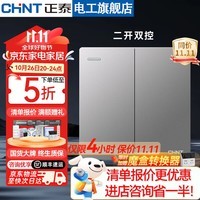 正泰（CHNT）开关插座面板墙壁暗装86型无框大板墙面家用五孔插座NEW6TA幻银灰 二开双控