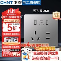 正泰（CHNT）开关插座面板墙壁暗装86型无框大板墙面家用五孔插座NEW6TA幻银灰 五孔双USB