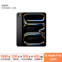 Apple iPad Pro 2024款限时促销