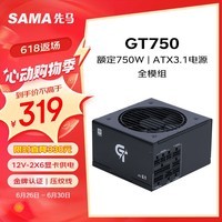 先马（SAMA）GT750W黑色ATX3.1台式电脑电源 12V-2X6显卡供电接口/80PLUS金牌电源/全模组/14CM短机身/压纹线