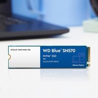 西部数据（WD） NVME协议 M.2接口 2280台式机笔记本SSD固态硬盘 蓝盘SN570 1T+散热片