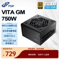 全汉（FSP）VITA GM 750W金牌全模组电源（ATX3.1/PCle 5.1 12V-2x6接口/105℃工业等级日系电容）
