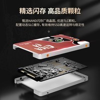 梵想（FANXIANG）256GB SSD固态硬盘  SATA3.0接口TLC颗粒 读速高达560MB/s 台式机笔记本电脑AI PC存储配件S100PRO