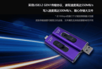 铨兴（QUANXING） 固态U盘PS01 USB3.2Type-c双接口 手机电脑两用MLC不掉速 256G