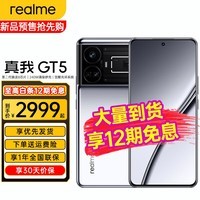 【现货速发】realme真我GT5全网通5g新款上市游戏1tb手机 realme 真我gt5 手机 GT5 12+256 星雾绿洲 (150W) 官方标配