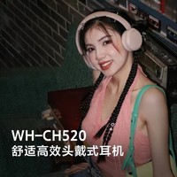 ᣨSONYWH-CH520 ʸЧͷʽ  ֶ ɫ