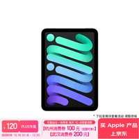 Apple/苹果 iPad mini (A17 Pro) 24新款第7代(256G WLAN/MXNA3CH/A 游戏学习阅读平板电脑)深空灰