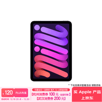 Apple/苹果 iPad mini (A17 Pro) 24新款第7代(256G WLAN/MXNE3CH/A 游戏学习阅读平板电脑)紫色